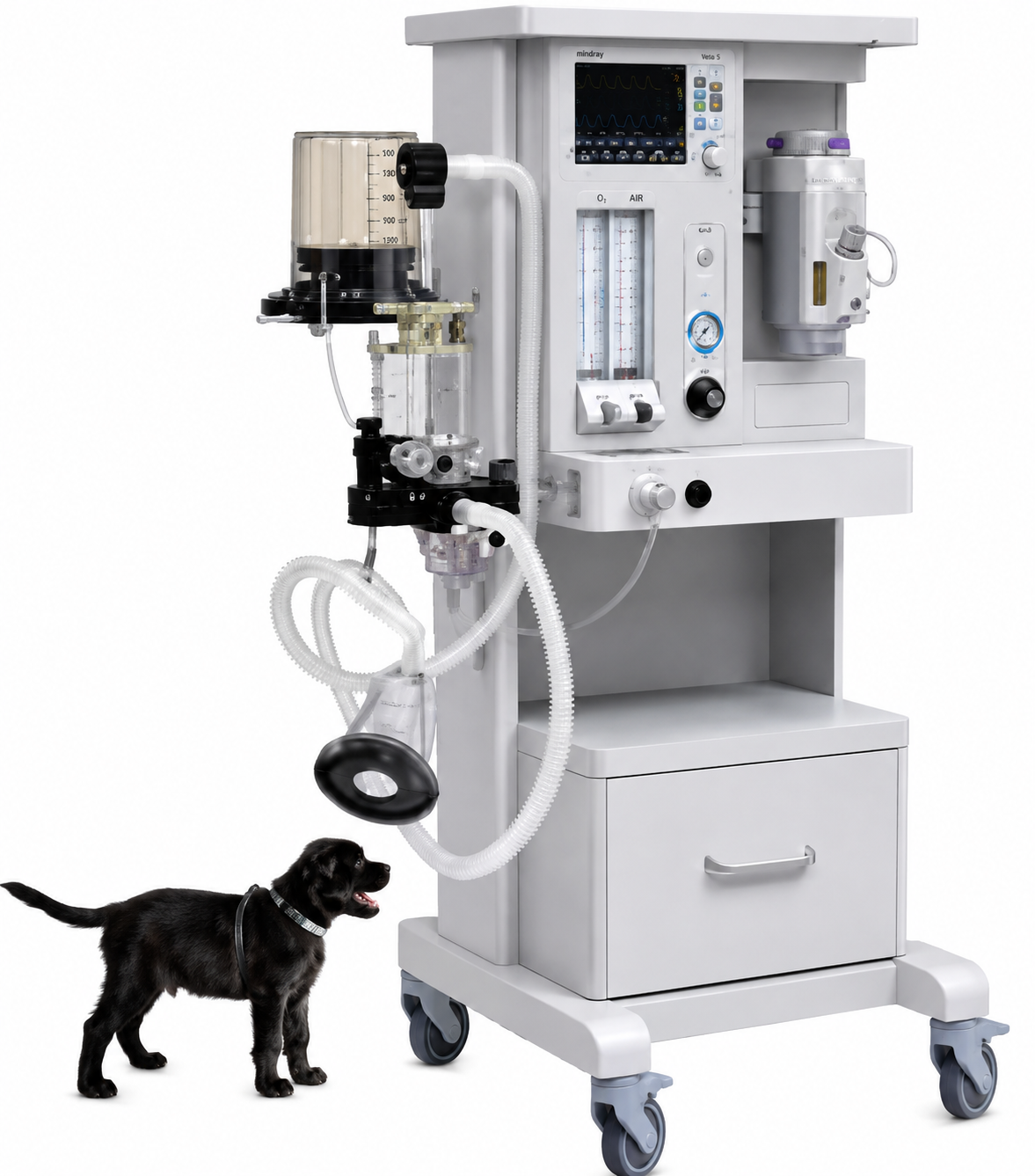 Multifunctioneel Anesthesie-unit, KCS-1